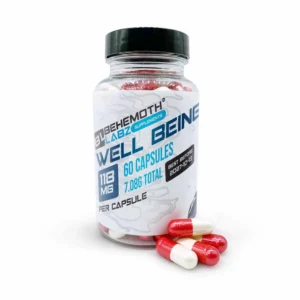 Alternative view of Well-Being Capsules